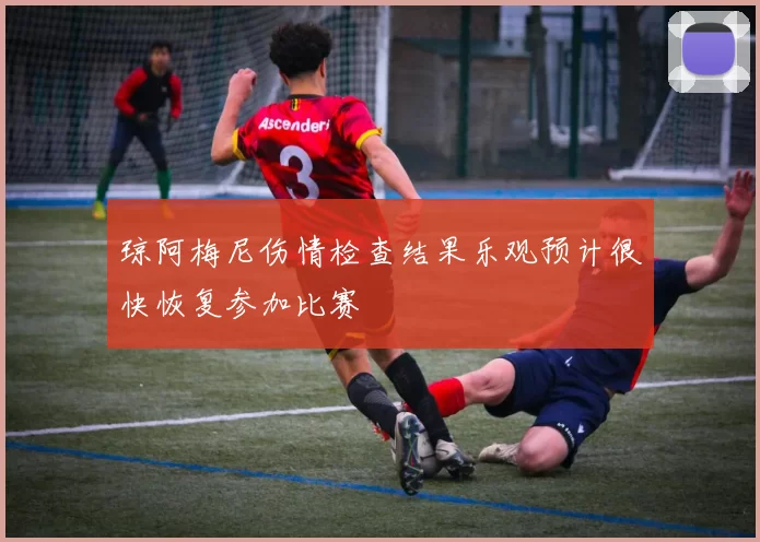 琼阿梅尼伤情检查结果乐观预计很快恢复参加比赛